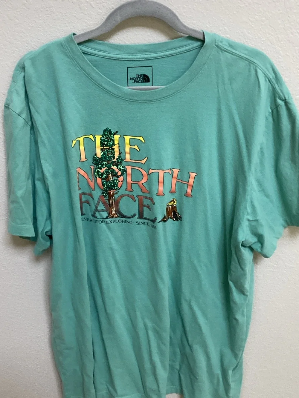 The North Face Mint Green Logo Graphic Tee